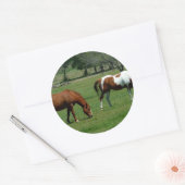 Sticker Rond Châtaignes et pinto (Enveloppe)