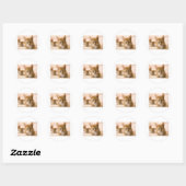 Sticker Rond chaton (Feuille)