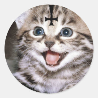 Sticker Rond chaton