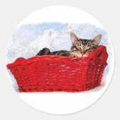 Sticker Rond Chaton À Dormir Dans Panier Rouge Lumineux (Devant)
