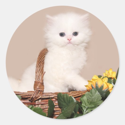 Sticker Rond Chaton perse blanc (Devant)