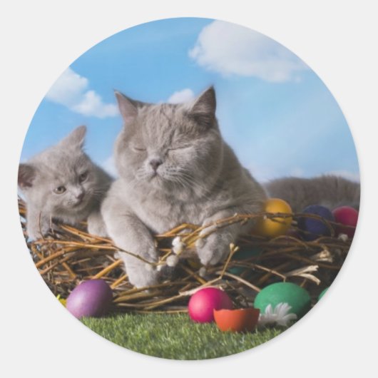 Sticker Rond Chats de Pâques (Devant)