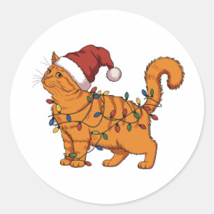 Sticker Rond Chats Drôles Noël Chat Orange Maman Animalerie Ama