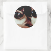 Sticker Rond Chats intenses (Sac)