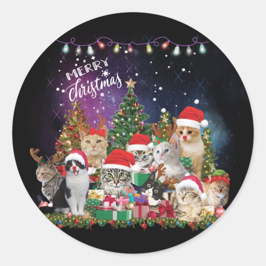Sticker Rond Chats Joyeux Noël Lumière (Devant)