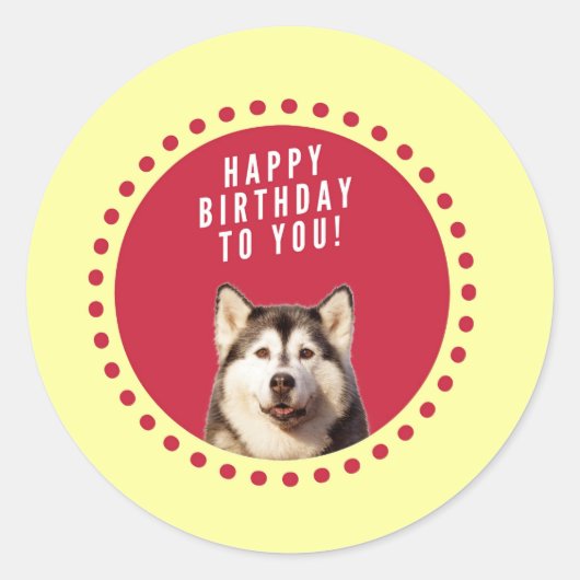 Sticker Rond Chatte Sibérien Husky Chien Joyeux Anniversaire (Devant)