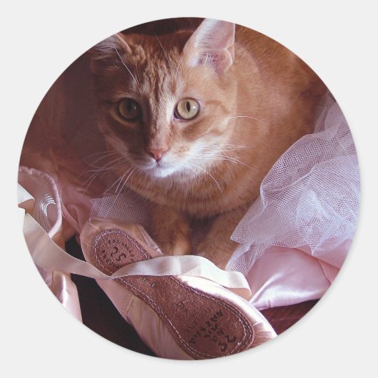 Sticker Rond Chaussures de chat et de ballet (Devant)