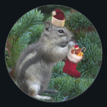 Sticker Rond Cheeky Christmas Chipmunk<br><div class="desc">Un chipmunk cheeky examine son stock le matin de Noël!</div>