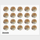 Sticker Rond Cheetah (Feuille)