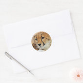 Sticker Rond Cheetah (Enveloppe)