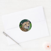 Sticker Rond Cheetah (Enveloppe)