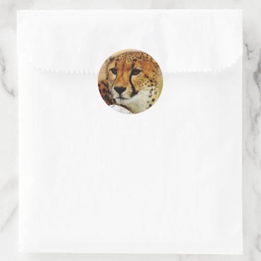 Sticker Rond Cheetah (Sac)