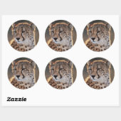 Sticker Rond Cheetah regarde loin (Feuille)