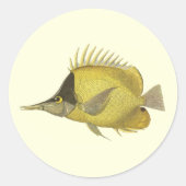 Sticker Rond Chelmon Tropical Jaune Longirostris, Poisson Vinta (Devant)