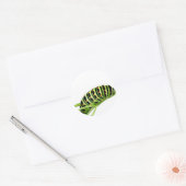 Sticker Rond chenille Swallowtail (Enveloppe)