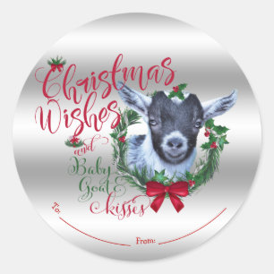 Sticker Rond CHÈQUE   voeux de Noël Bébé Chèvre Baisers Pygmée