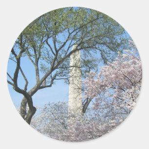Sticker Rond Cherry Blossoms et le monument de Washington à DC
