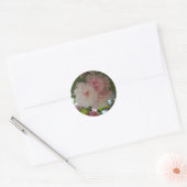 Sticker Rond Cherry Tree I Spring Floral (Enveloppe)