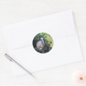 Sticker Rond Cheval (Enveloppe)