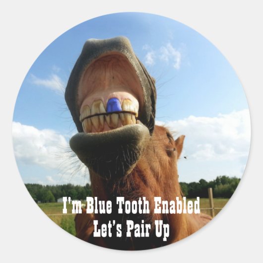 Sticker Rond Cheval à dents bleues (Devant)