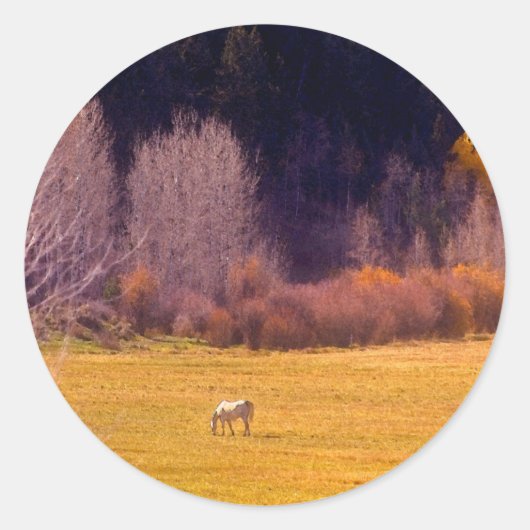 Sticker Rond Cheval À L'Automne I (Devant)