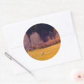 Sticker Rond Cheval À L'Automne I (Enveloppe)