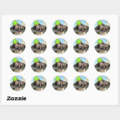 Sticker Rond Cheval animal de fête (Feuille)
