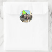 Sticker Rond Cheval animal de fête (Sac)