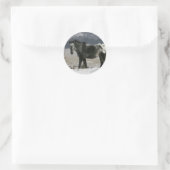Sticker Rond Cheval Appaloosa dans la neige (Sac)