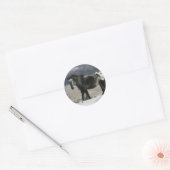 Sticker Rond Cheval Appaloosa dans la neige (Enveloppe)