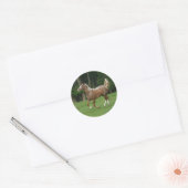 Sticker Rond Cheval Appaloosa en course (Enveloppe)