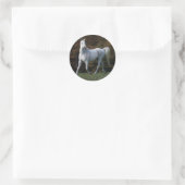 Sticker Rond Cheval arabe 1 (Sac)