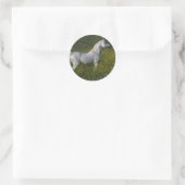 Sticker Rond Cheval arabe debout en fleurs (Sac)