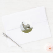 Sticker Rond Cheval blanc (Enveloppe)