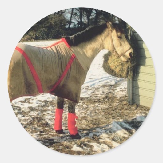 Sticker Rond Cheval blanchi en hiver (Devant)