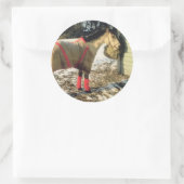 Sticker Rond Cheval blanchi en hiver (Sac)