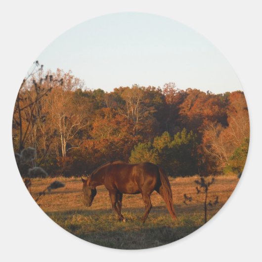 Sticker Rond Cheval Brown rouge, bois d'automne. (Devant)