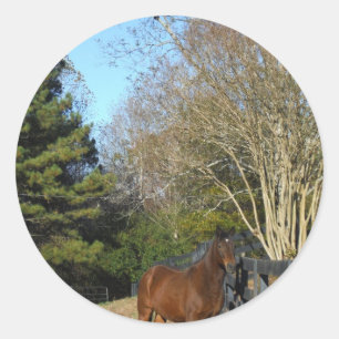 Sticker Rond Cheval brun contre une clôture