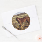 Sticker Rond Cheval dans le pâturage (Enveloppe)