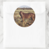 Sticker Rond Cheval dans le pâturage (Sac)