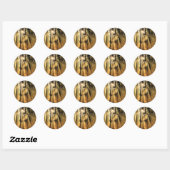 Sticker Rond Cheval de soleil (Feuille)