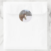 Sticker Rond Cheval d'hiver (Sac)