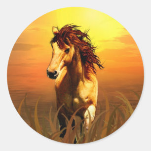 Sticker Rond Cheval du matin