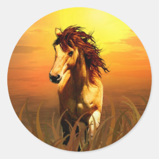 Sticker Rond Cheval du matin