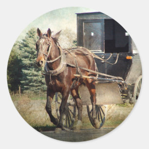 Sticker Rond Cheval et Buggy en Iowa rural