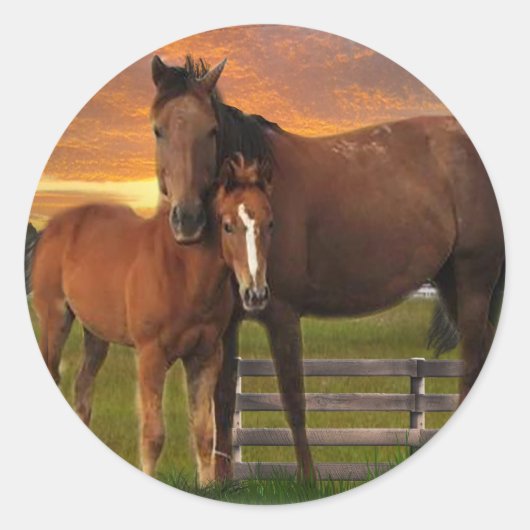 Sticker Rond Cheval et poney (Devant)