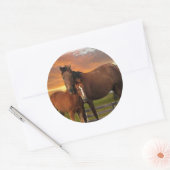 Sticker Rond Cheval et poney (Enveloppe)