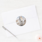 Sticker Rond Cheval islandais blanc, Islande (Enveloppe)