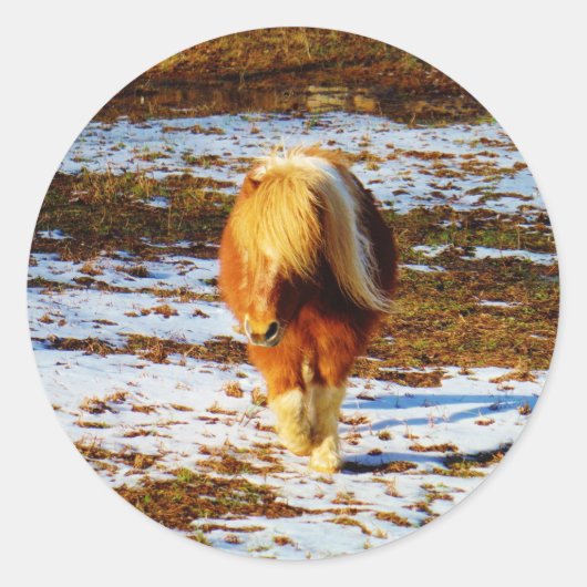 Sticker Rond Cheval miniature Brown et crème dans la neige. (Devant)