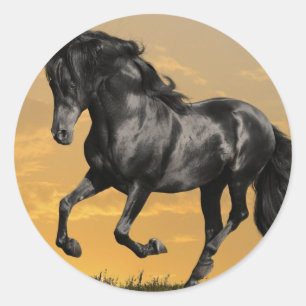 Sticker Rond Cheval noir